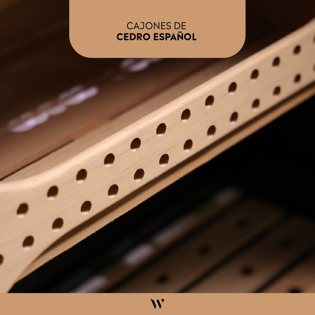Humidor de Lujo para 850 Cigarros